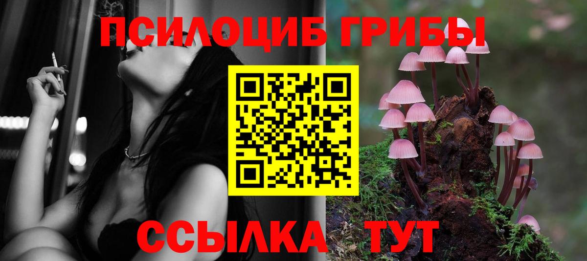 Галлюциногенные грибы Magic Shrooms  Псилоцибиновые грибы Magic Shrooms  Будённовск  Вход с VPN 