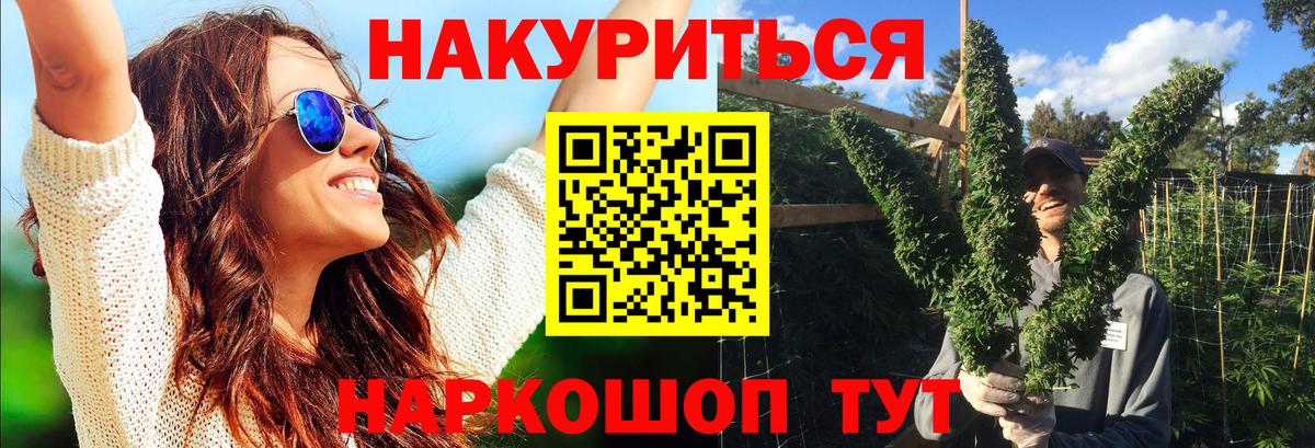 Канабис сатива Будённовск